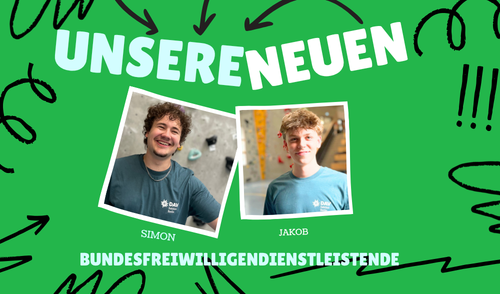 Junges Engagement für die Sektion – Freiwilligendienst 2026/2027