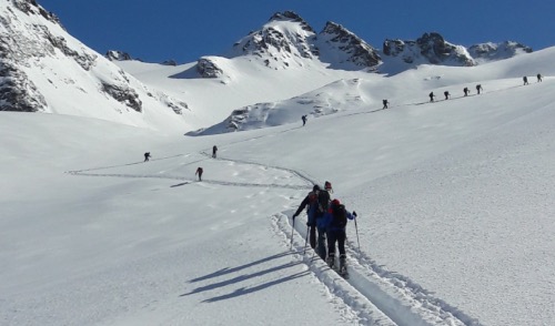 Wir suchen Trainer:innen in allen Winterdisziplinen