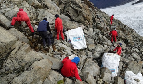 World-Cleanup-Day: Müllsammelaktion am Brandenburger Haus