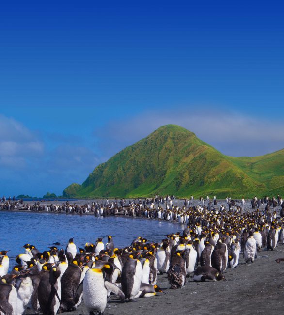 3D Vortrag Neuseeland mit Stephan Schulz