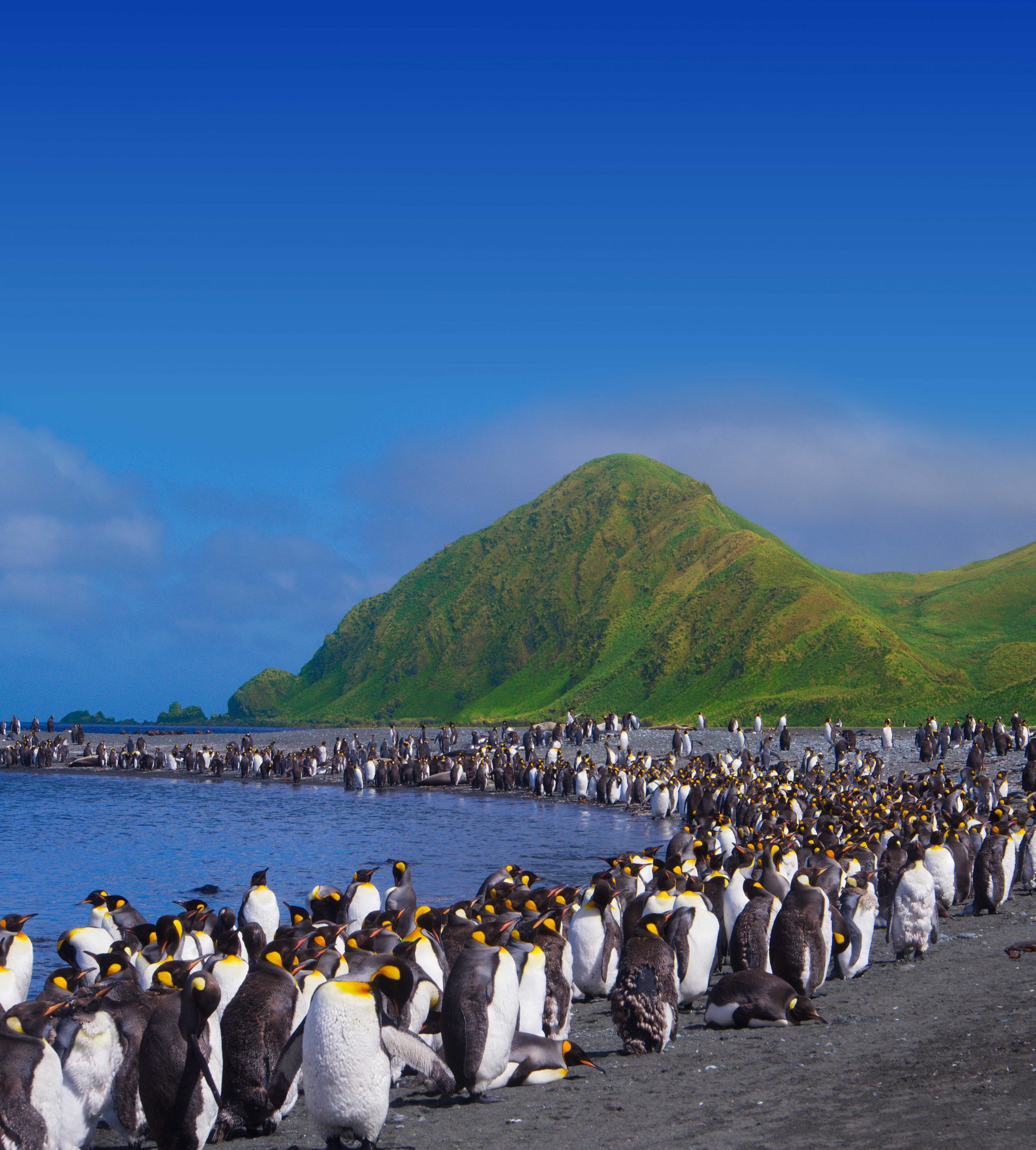 3D Vortrag Neuseeland und Südpazifik mit Stephan Schulz