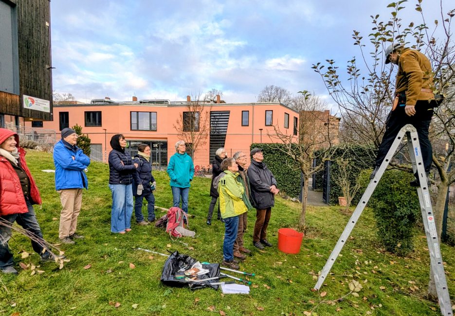 Adventsworkshop Dezember 2026 zum Obstbaumschnitt, AK Umwelt und Natur 