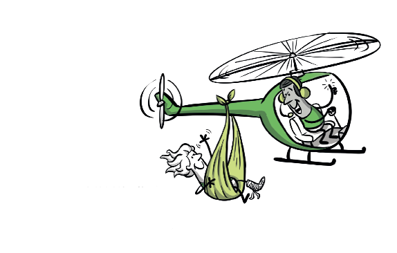 Versicherungschutz DAV